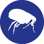 Homegard flea